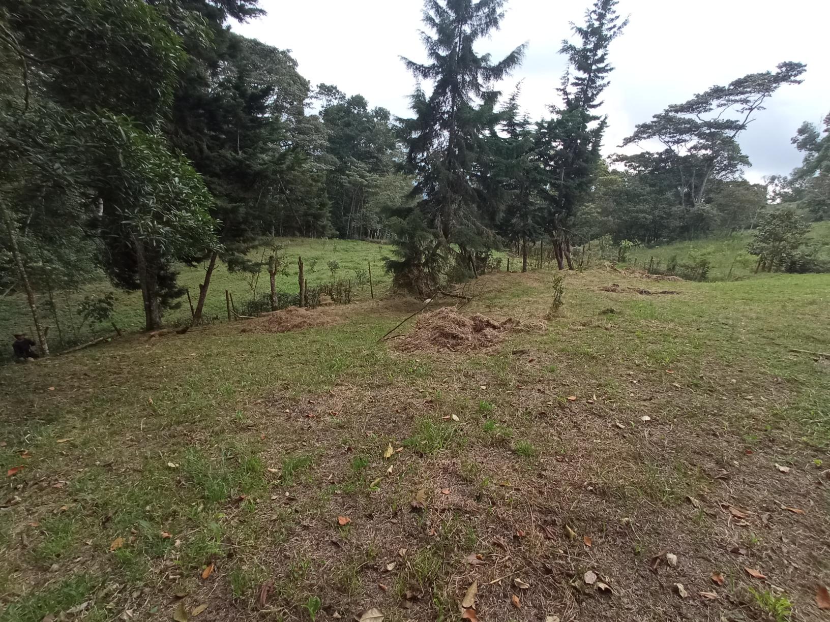 Fotografía 5 de Finca Silvania